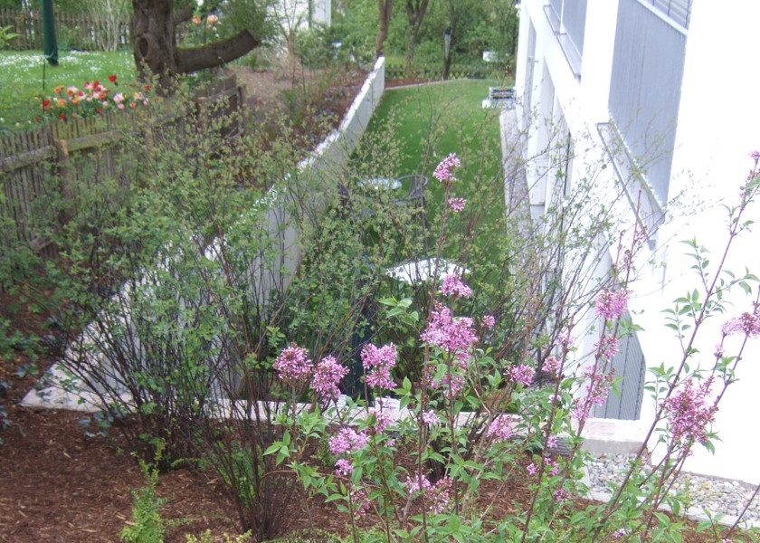 Studentenwohnheim Garten